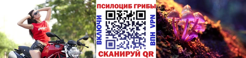 закладки Полярный Псилоцибиновые грибы Magic Shrooms